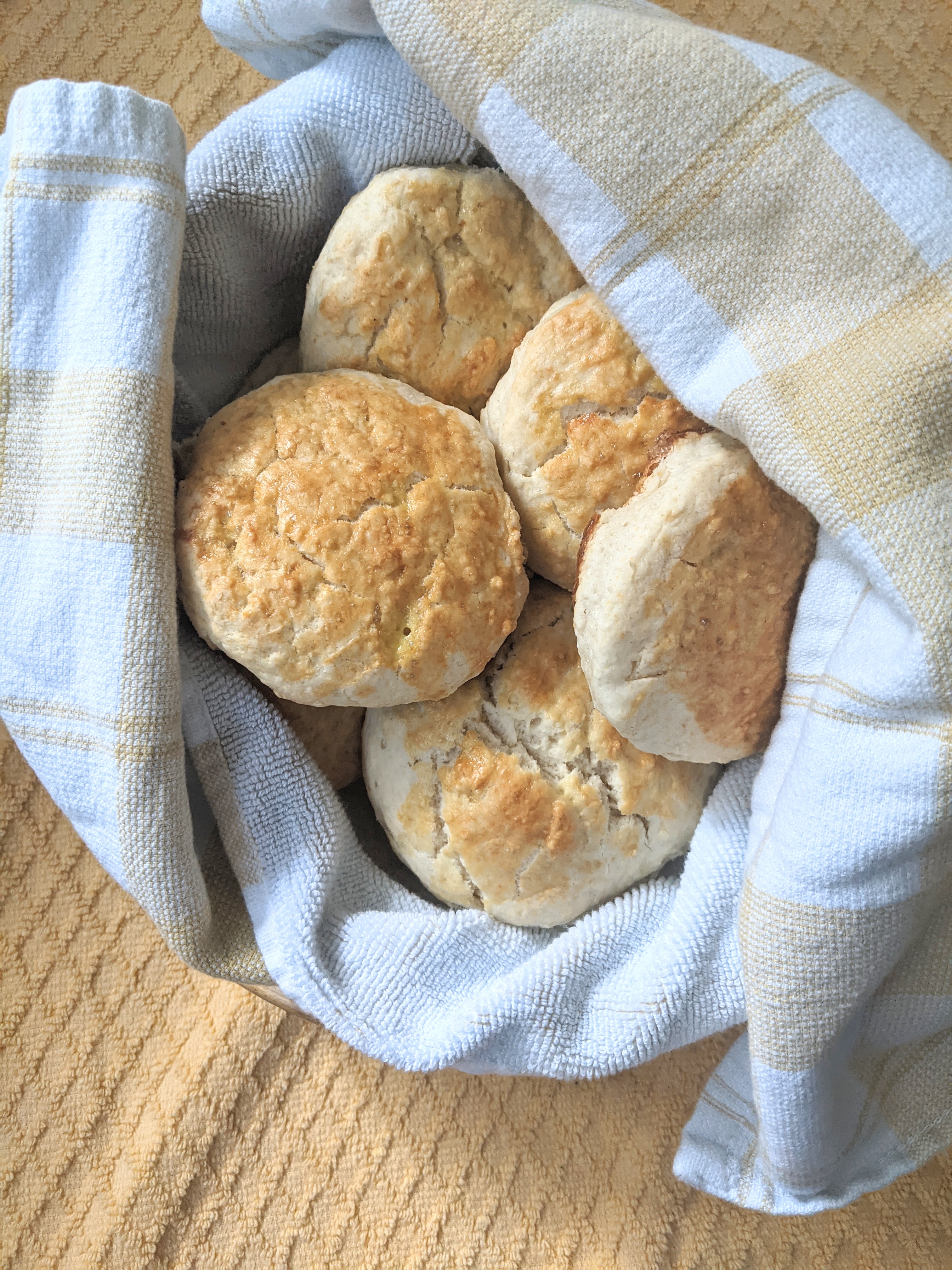 The Easiest Biscuit Recipe of Your Life