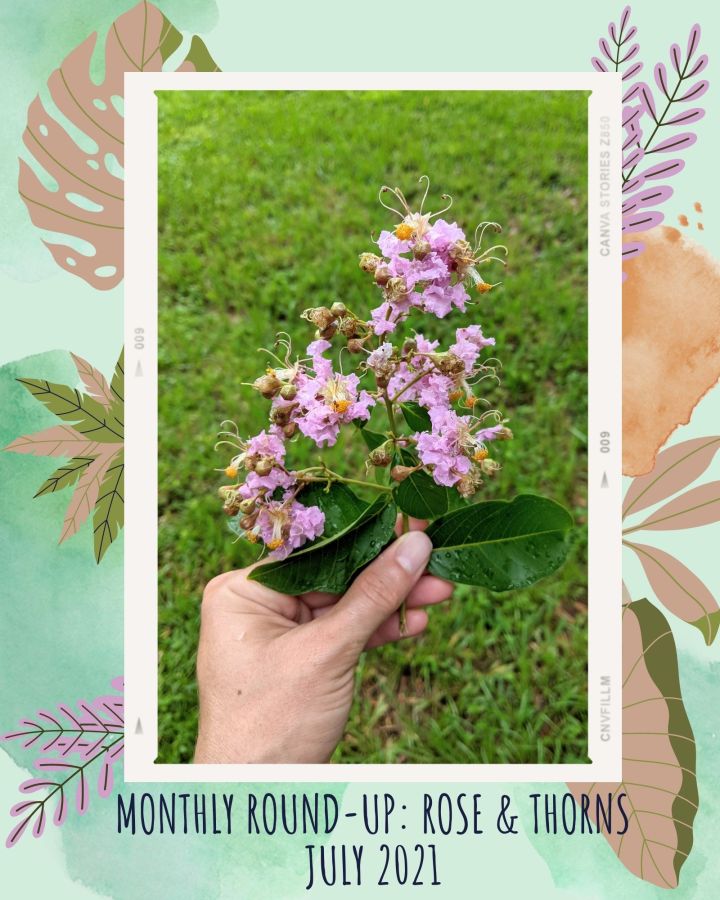 Monthly Round-Up: Rose & Thorns – July 2021