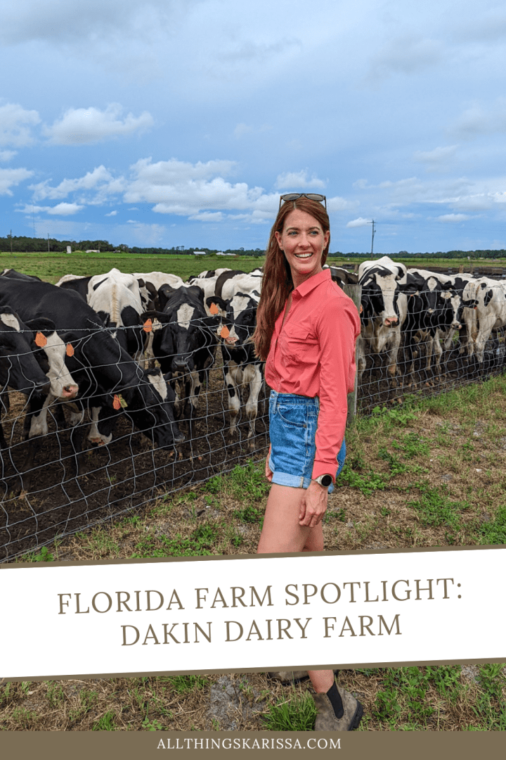 Florida Farm Spotlight: Dakin Dairy Farm