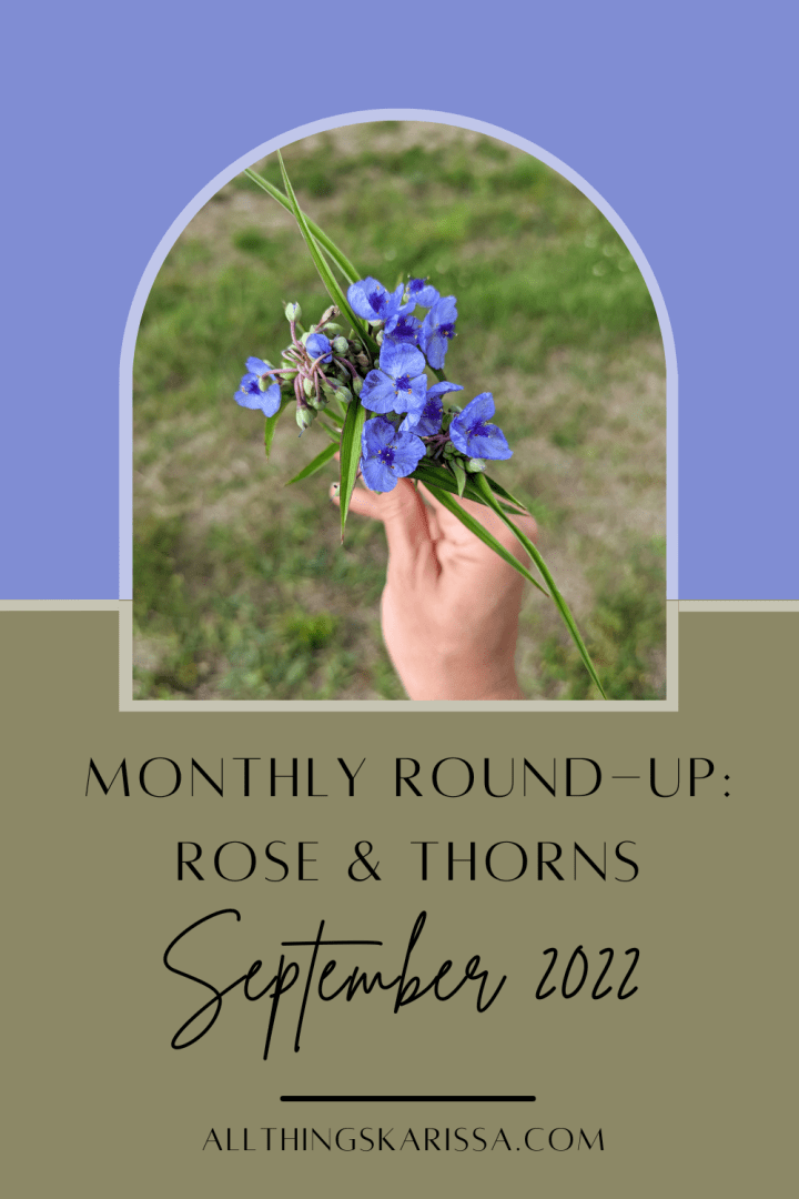 Monthly Round-Up: Rose & Thorns – September 2022