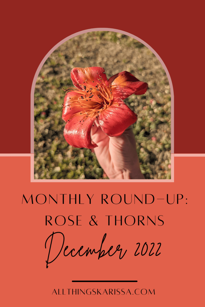Monthly Round-Up: Rose & Thorns – December 2022
