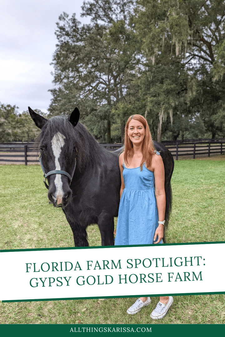 Florida Farm Spotlight: Gypsy Gold Horse Farm