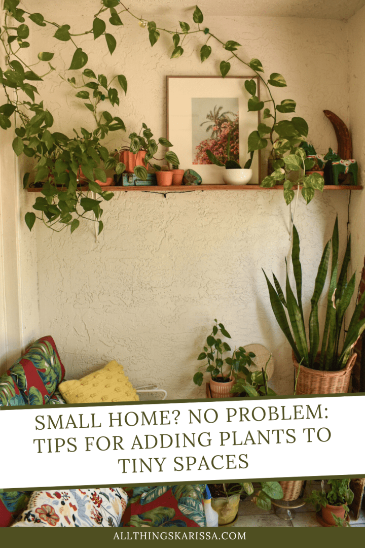 Small Home? No Problem: Tips for Adding Plants to Tiny Spaces