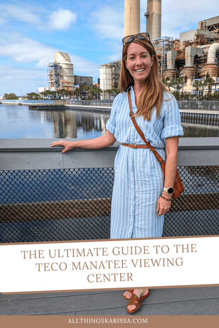 The Ultimate Guide to the TECO Manatee Viewing Center